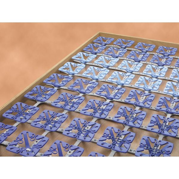 Froli Bettsystem Froli Bettsystem