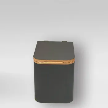 Preview: Trelino® Trenntoilette Timber M Korpus: Anthrazit Einsatz: Weiß