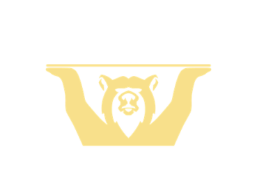 Preview: Anmiber Trittstufen Stütze Thule Einstiegsstufe Verstärkung Wohnmobil Stütze